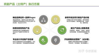 農(nóng)副產(chǎn)品及土特產(chǎn)電商運營推廣 掌握互聯(lián)網(wǎng)營銷方法，開啟盈利之路